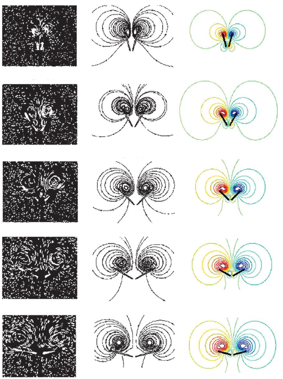 Clap and fling A B C Φ=3 Φ=6 Φ=9 Φ= Φ=5 Fig. 6. Flow visualization and streamline plots of rotational fling at five points in time. The wing motion used in each case is shown in Fig. 5A.