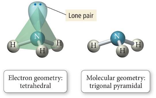 Lone pair electrons typically exert slightly greater repulsion than bonding electrons, affecting the bond angles.