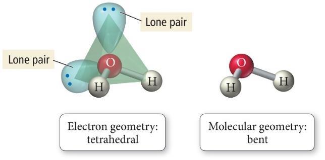 while a bonding pair is attracted to two nuclei.