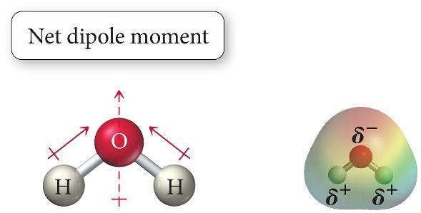 The net result is a nonpolar molecule. 3. The H O bond in H2O is polar.