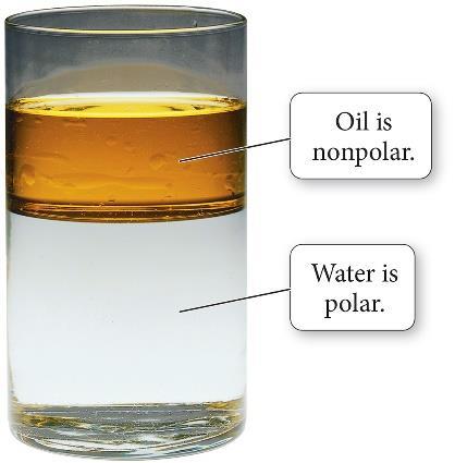 Polar molecules are attracted to other polar molecules.