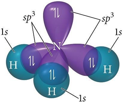 The particular kind of hybridization that occurs is the one that yields the lowest overall energy for the molecule.
