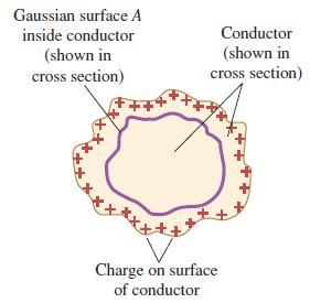 Excess Charges on a Conductor As we know, the are significant number of electrons can move freely on a conductor (~ %1) These