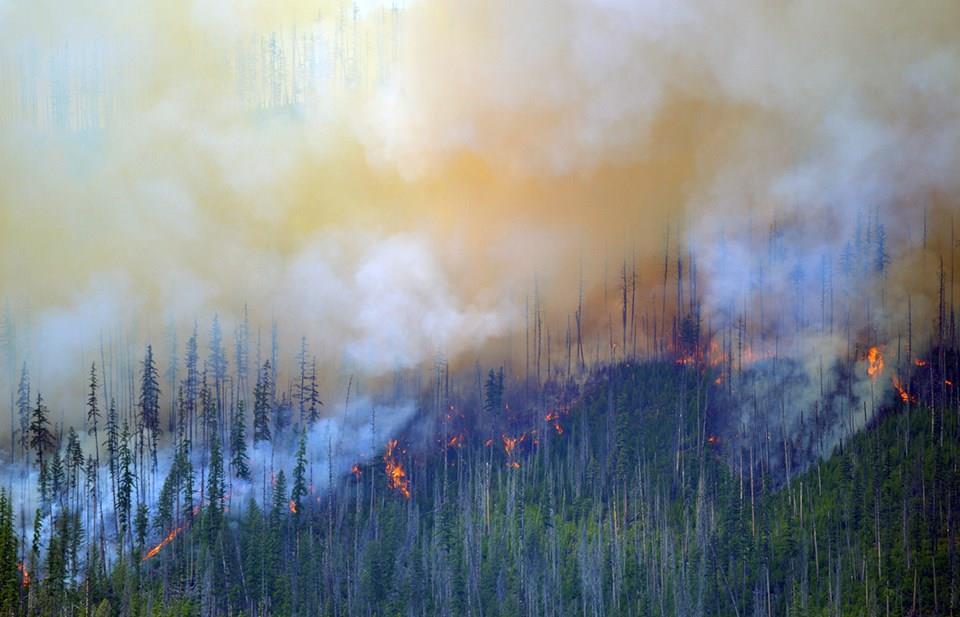 The amount of damage done by wildfires can depend on the: Size of the fire Landscape
