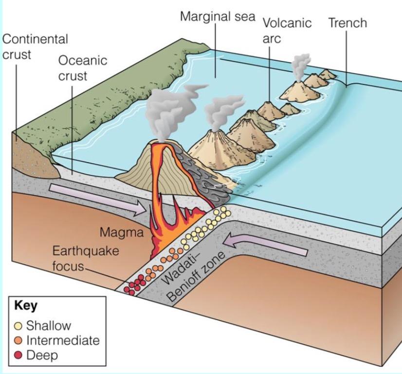Oceanic-Oceanic Convergence Denser plate is subducted Deep trenches generated Volcanic island