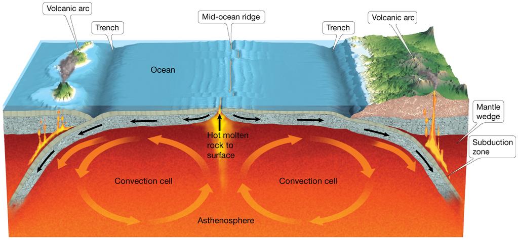 9/6/2018 Question Where do we find the oldest oceanic crust? A. In continental margins B. Away from the oceanic ridges C. At the oceanic ridges D.