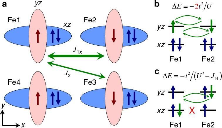 Fig. 3. Illustration of ferro-orbital order and the formation of C-type anti-ferromagnetic order.