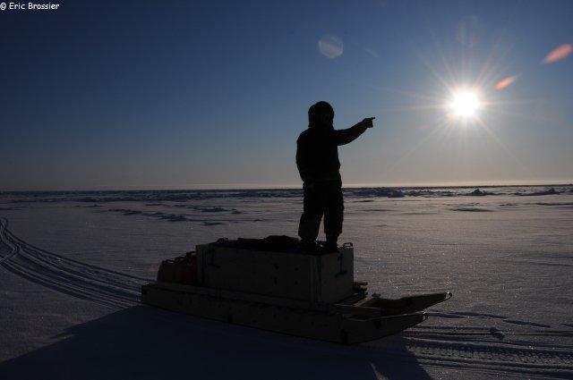 Observing Arctic Sea