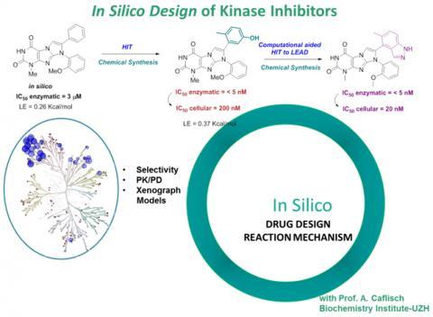 The importance of in silico drug design The structures of the most protein targets become accessible through the use of crystallography, NMR, bioinformatics methods, etc.
