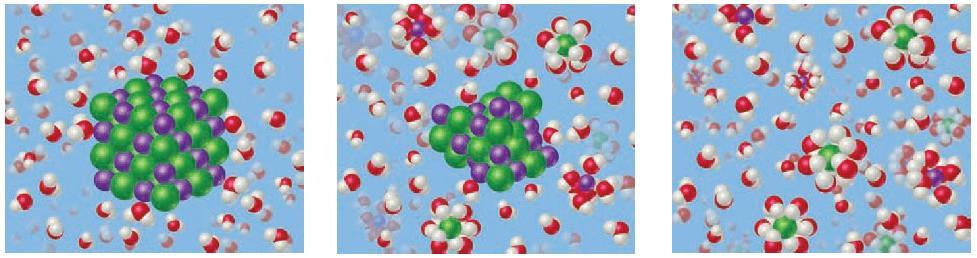 The intermolecular forces between solute and solvent particles must be strong