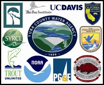 The Lower Yuba Accord River Management Team by Josh Wyrick,