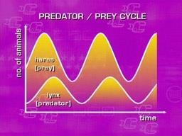 Relationships between species Predator / Prey Predator = hunter Prey = hunted Need to have more prey