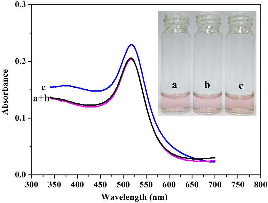 Figure S3 The UV-Vis spectra of (a) the mixture of Tollens reagent and HCHO; (b) the Au NPs; and (c) the mixture of Au NPs