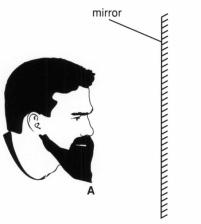8 A man looks at his reflection in a vertical mirror. This is shown from the side in Fig. 8.1. 12 Fig. 8.1 (a) On Fig. 8.1, accurately mark with a clear cross where the image of the tip A of the man s beard will be.