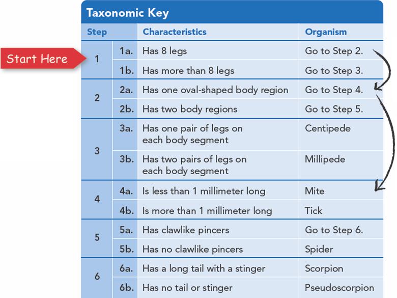 Keys Dichotomous Keys are another name for a taxonomic key. It means two parts. Consists of a series of paired statements that describe a characteristic of an organism.