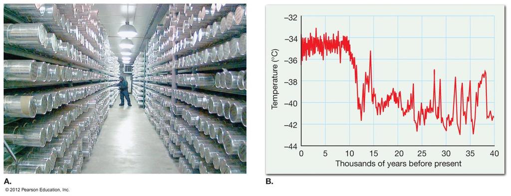 Ice Cores tell us the Real Temps!