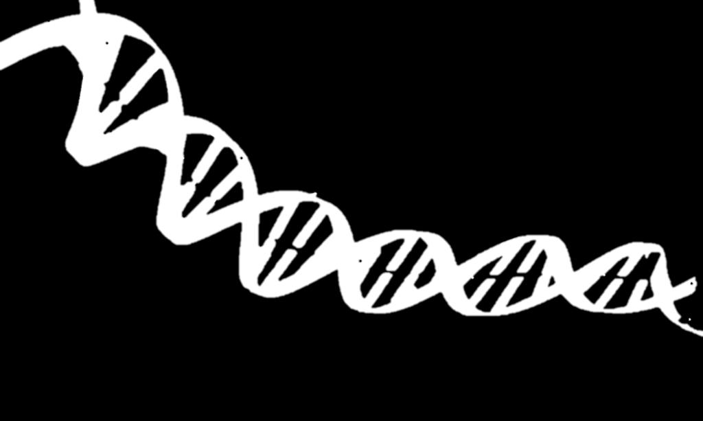 Are based on a universal genetic code All molecules store information needed to live, grow and reproduce in genetic