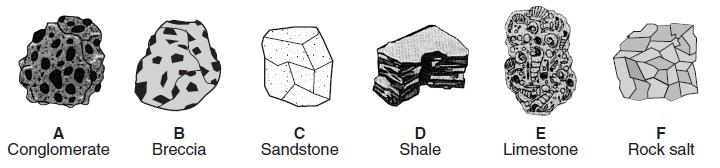 Base your answers to questions 10 through 12 on the drawings of six sedimentary rocks labeled A through F. 10. Which table shows the rocks correctly classified by texture? A) B) C) D) 11.