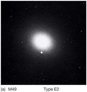 Elliptical galaxies have no spiral arms and no disk.