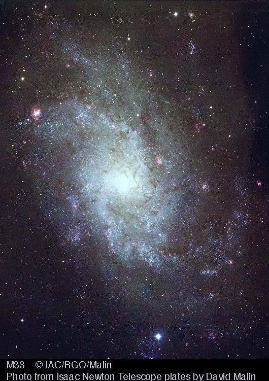 Nearby Galaxy with no Black Hole: M 33 Disk Galaxy Negligible
