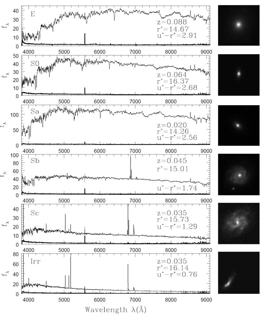 Correspondence between Color and Morphology Morphological classification For bright galaxies(g*<16), they use visual appearance of g* image.(morphological sample) For fainter galaxies(r petr * < 17.