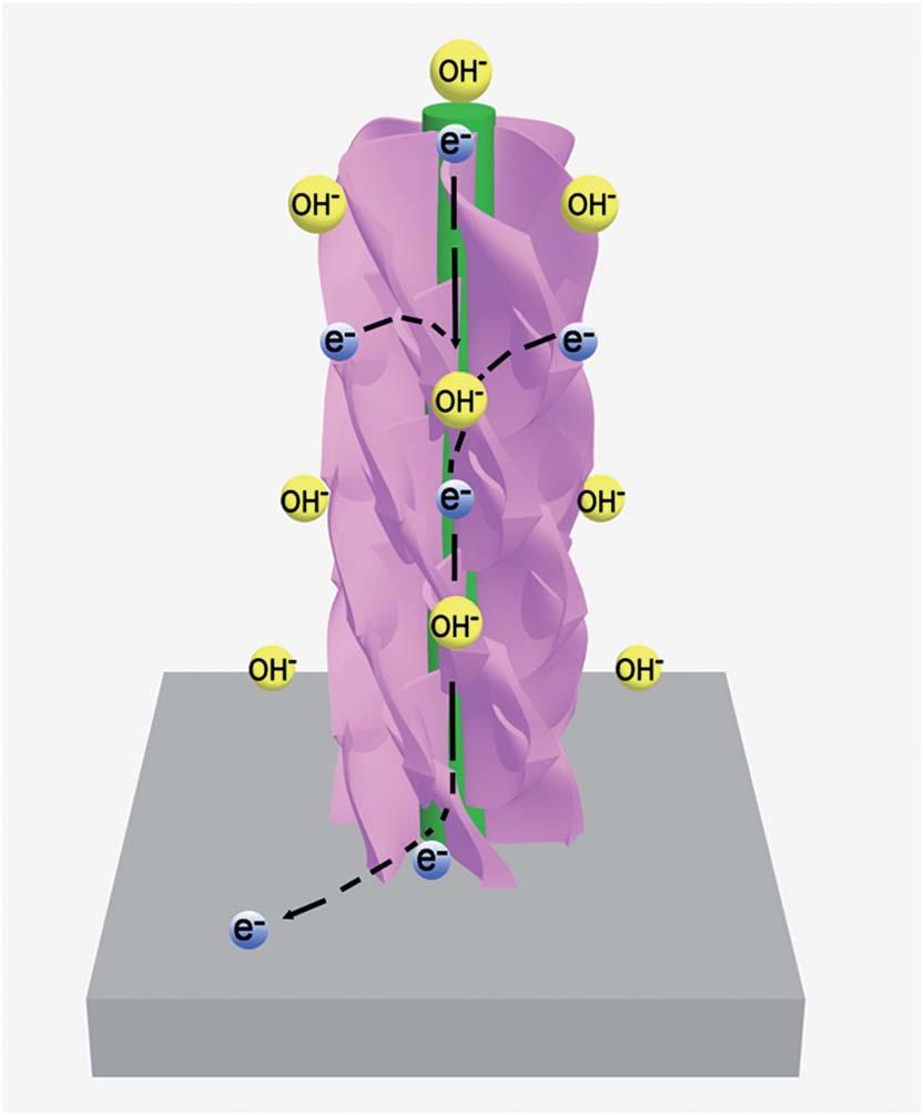 Fig. 7 (a) Cycling performance of the prepared ZnCo 2 O 4 @Ni x Co 2x (OH) 6x,Ni x Co 2x (OH) 6x and ZnCo 2 O 4 electrodes during 2000 cycles at 20 ma cm 2.