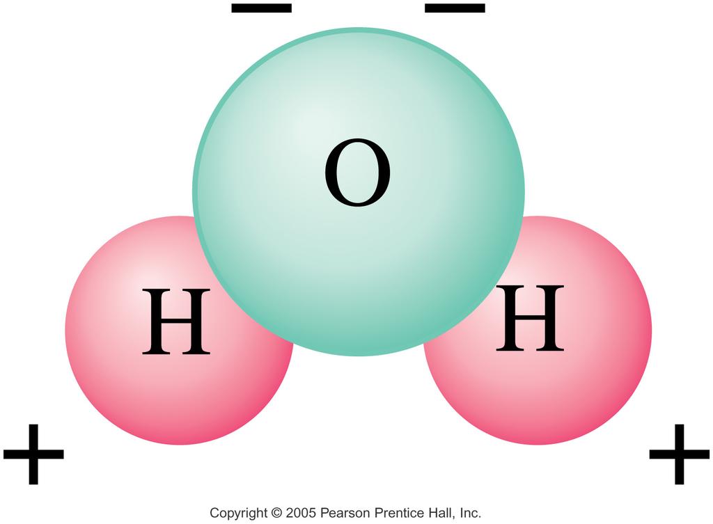 Polar molecule: neutral overall,