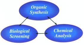 An automated synthesis programme for drug discovery Automation has revolutionised the way that organic synthesis is performed in the research laboratory.