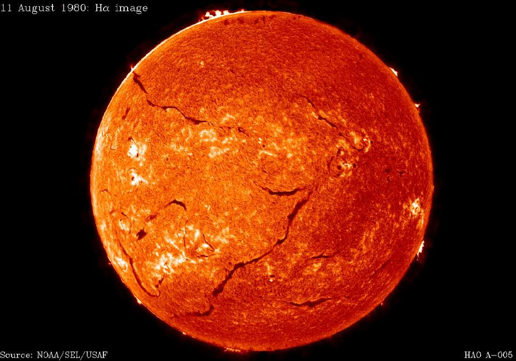 Filaments and Prominences Viewed in H They are condensations of
