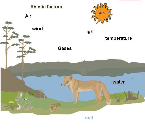 Abiotic factors are the nonliving parts of the environment EX: temperature, humidity,