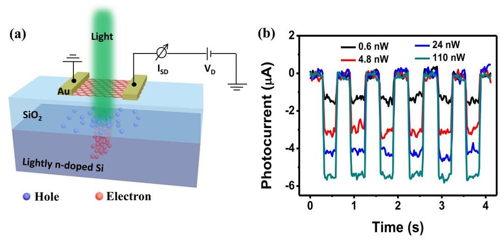 Supplementary Figure S2 Schematic of the photodetector based on graphene/sio 2 /lightly n-doped Silicon system. (a) Incident light creates electron hole pairs in the lightly n-doped silicon.