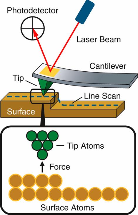 Atomic Force Microscopy Measures height