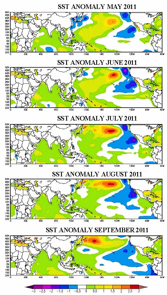 Fig. 4.2: Monthly SST anomalies in the Indo-Pacific region for May to September 2011. Monthly anomalies of sea surface temperature (SST) for the period May to September are shown in Fig.4.2. As seen in Fig.