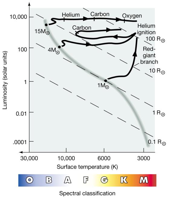 Evolutionary Track on the HR Diagram (Low-Mass Star) Evolution of High-Mass Stars Unlike low mass stars, high mass stars make a steady transition from H fusion in the core to He fusion in the core