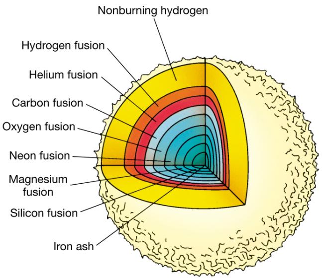 Onion Layers of Fusion in a High-Mass Star Timescales of Fusion (M star = 20 M sun ) Star undergoes cycles of core contraction and envelope expansion, fusing heavier and heavier chemical elements,