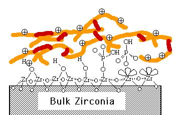 Zirconia-PEI (Zr-PEI) for Anion Exchange Coat and crosslink polyethyleneimine (PEI) for weak anion exchange (WAX).