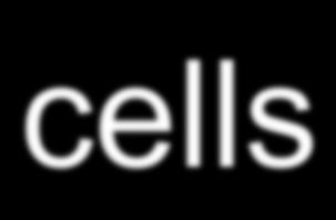 cells the