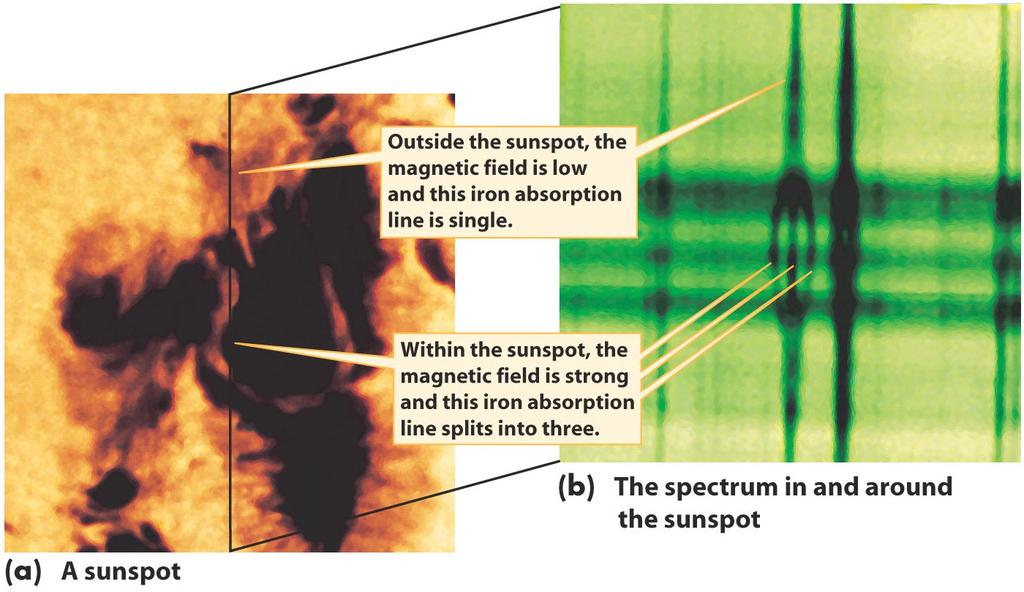 Sunspots (2/2) Sunspots are regions of high magnetic field Zeeman