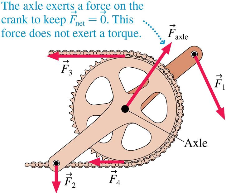 Net Torque The figure shows the forces acting on the crankset of a bicycle.