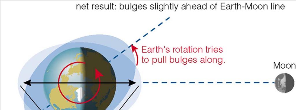 Tidal Friction This fight between Moon s pull & Earth s rotation causes friction.