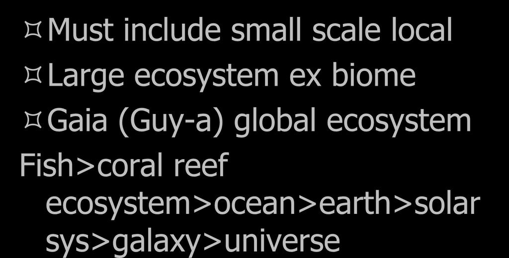 (Guy-a) global ecosystem Fish>coral reef