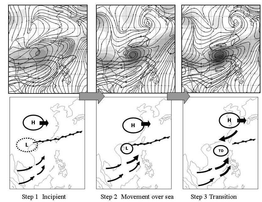 (a) FIG. 1. Composite 925-hPa flow at 36 h for (a) formation, nonformation cases during the mei-yu season.