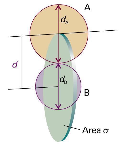 For collisions of and B molculs, th collision dnsity is: Z σ B c rl ot that th factor of ½ has bn discardd, bcaus w ar considring an molcul colliding with any of th B molculs as a collision.