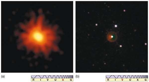 22.4 Gamma-Ray Bursts Measurement of the spectrum of a gamma-ray burst allows its distance to be