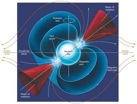 22.2 Pulsars But why would a neutron star flash on and off?