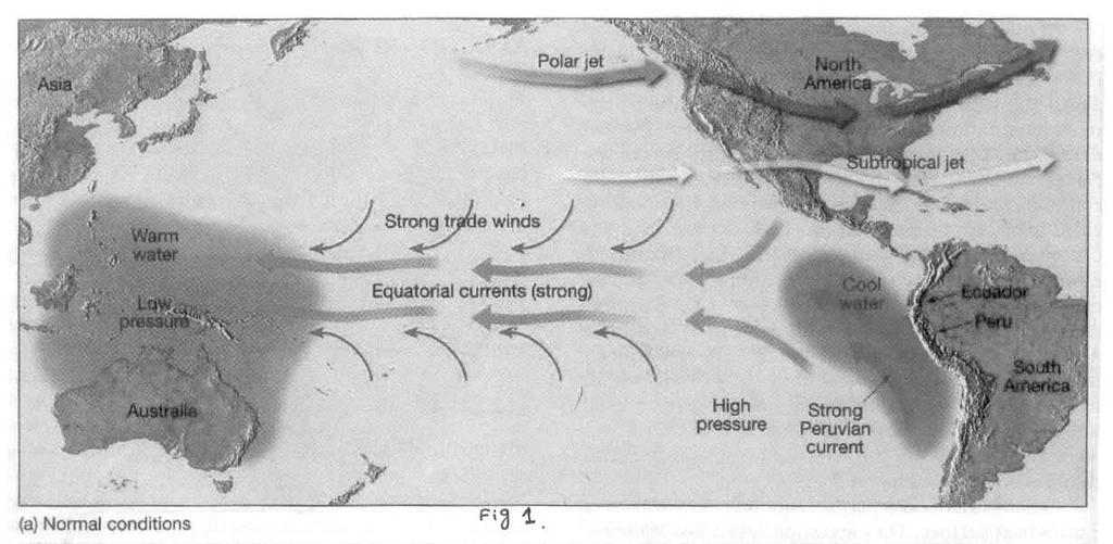 rises. This eastward shift of the warmest surface water marks the onset of El-Nino (Frederick and Edward, 1998, page 179-181). Fig. 1 Fig.