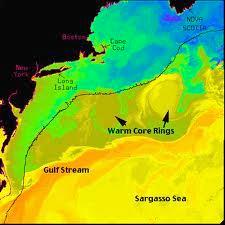 Gulf Stream Meanders and