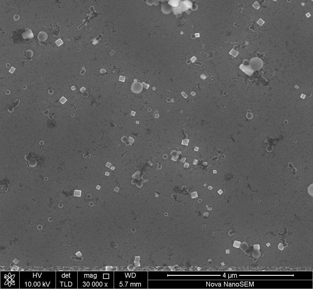 SEM image of Phen-1TPE and Phen-2TPE Fig.