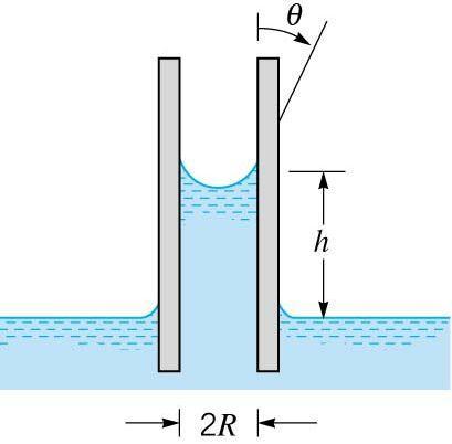 1.13 Capillarity: Capillary effect is the rise or fall of a liquid in a
