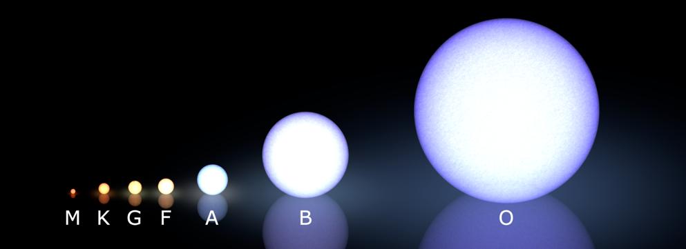 Sizes of Main Sequence Stars This illustration shows the relative sizes and colors